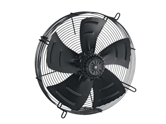 Fanlar
